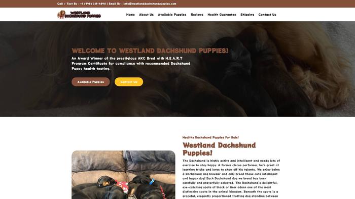 Westlanddachshundpuppies.com - Dachshund Puppy Scam Review