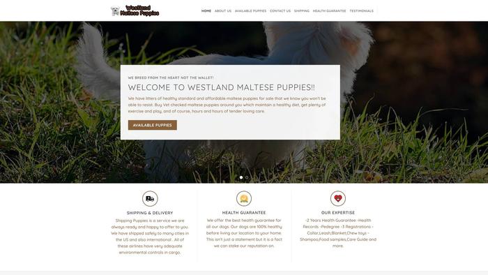 Westlandmaltesepuppies.com - Maltese Puppy Scam Review