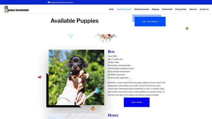 Xmasdachshunds.com - Dachshund Puppy Scam Review