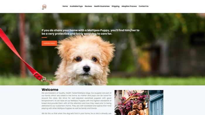 Xmassmaltipoo.com - Maltipoo Puppy Scam Review