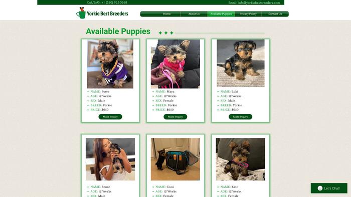 Yorkiebestbreeders.com - Yorkshire Terrier Puppy Scam Review