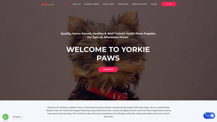 Yorkiepuppiesavenue.com - Yorkshire Terrier Puppy Scam Review