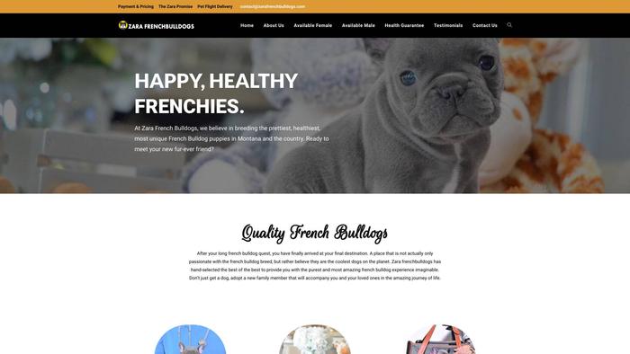 Zarafrenchbulldogs.com - French Bulldog Puppy Scam Review