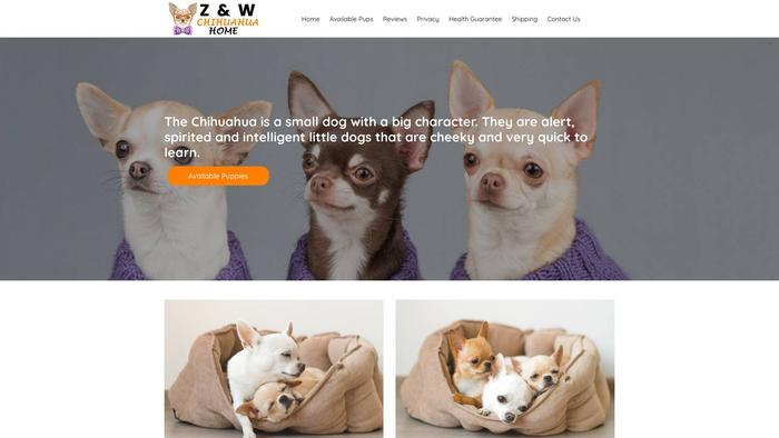 Zwchihuahuahome.com - Chihuahua Puppy Scam Review