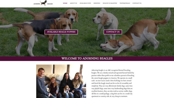 Adorningbeagles.com - Beagle Puppy Scam Review