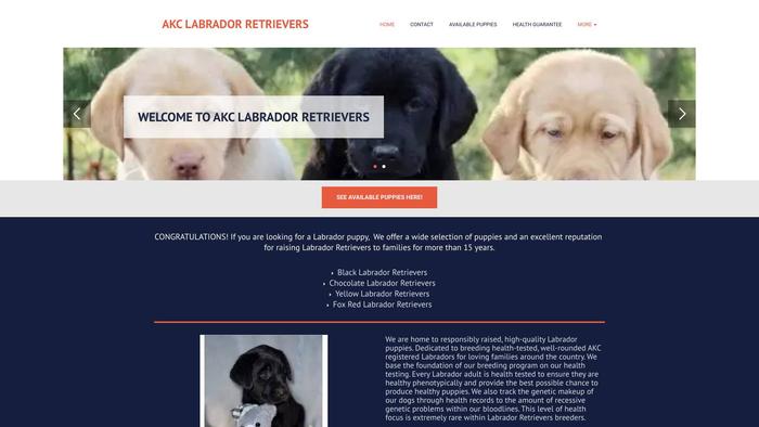 Akc-labradorretrievers.online - Golden Retriever Puppy Scam Review