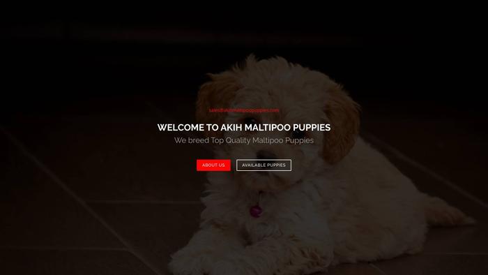 Akihmaltipoopuppies.com - Maltipoo Puppy Scam Review