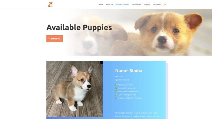 Amazingcorgipuppy.com - Corgi Puppy Scam Review