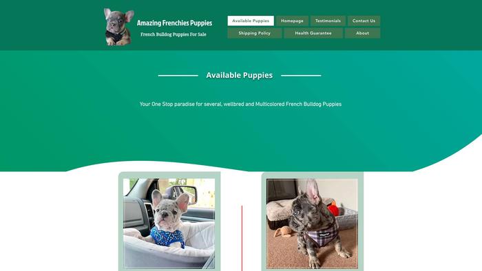 Amazingfrenchiespuppies.com - French Bulldog Puppy Scam Review