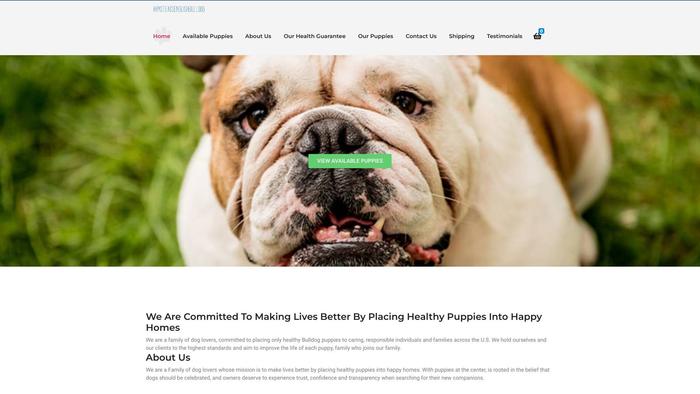 Armsteadsenglishbulldog.com - English Bulldog Puppy Scam Review