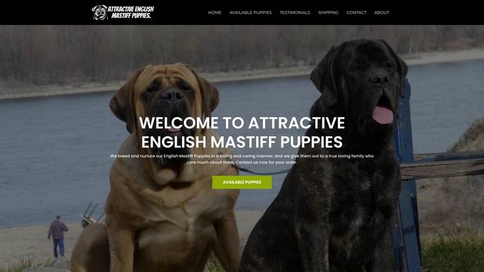 Attractiveenglishmastiffpuppies.com - Tibetan Mastiff Puppy Scam Review