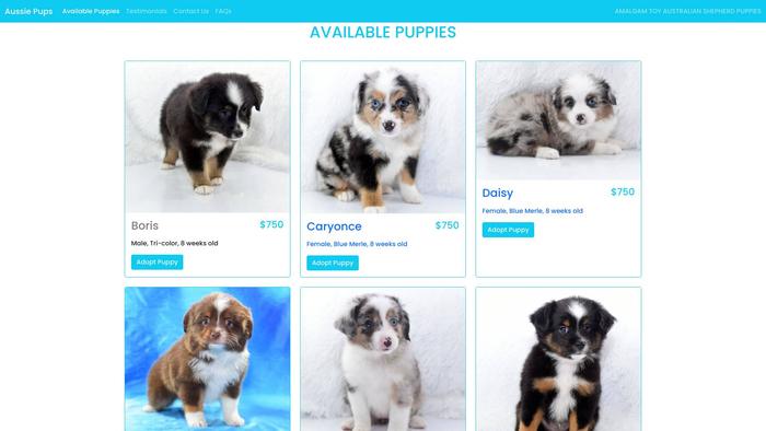 Aussiepuppiesforsaleonline.com - Australian Shepherd Puppy Scam Review