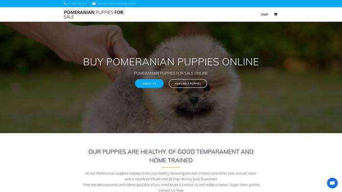 Beautifulpomeranianpuppies.com - Pomeranian Puppy Scam Review