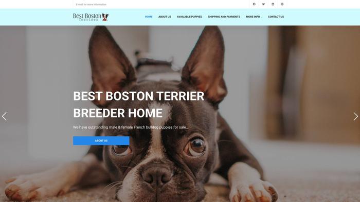 Best-bostonterriers.com - Boston Terrier Puppy Scam Review