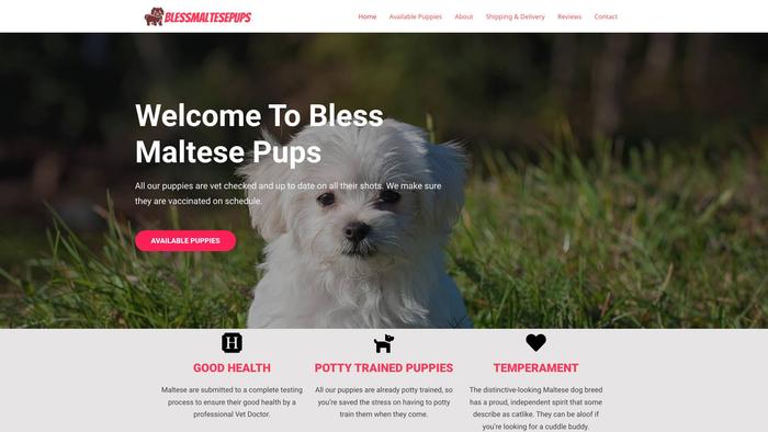 Blessmaltesepups.com - Maltese Puppy Scam Review