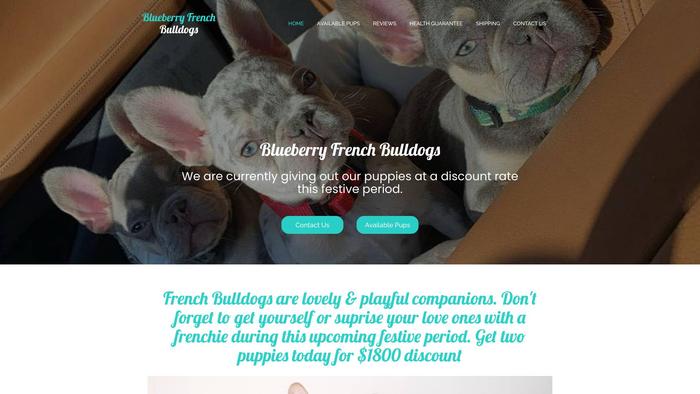 Blueberryfrenchbulldogs.com - French Bulldog Puppy Scam Review