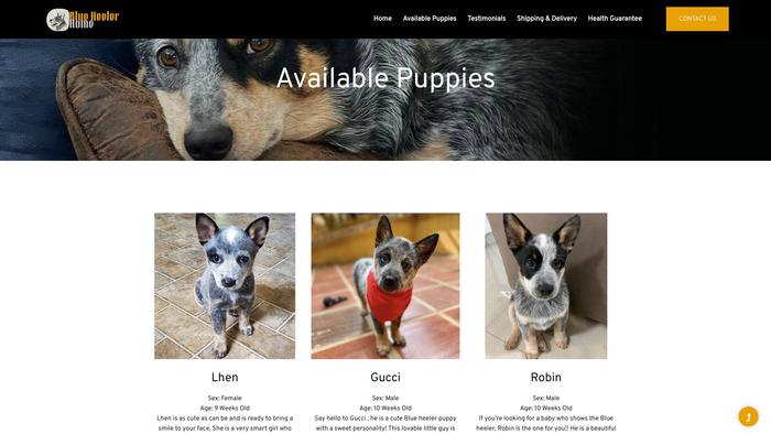 Blueheelerhome.com - French Bulldog Puppy Scam Review