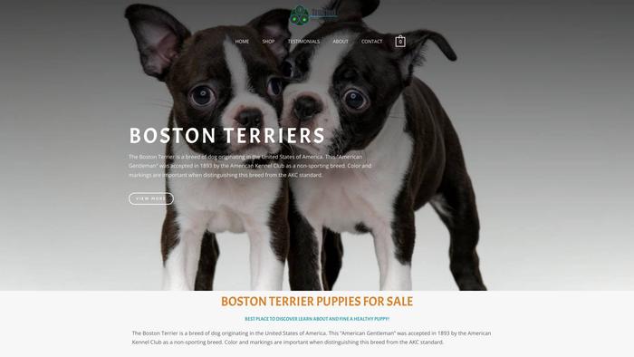 Bostonterrierpupsnearme.com - Terrier Puppy Scam Review