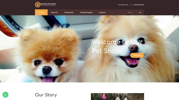 Brandonpetshop.com - Corgi Puppy Scam Review