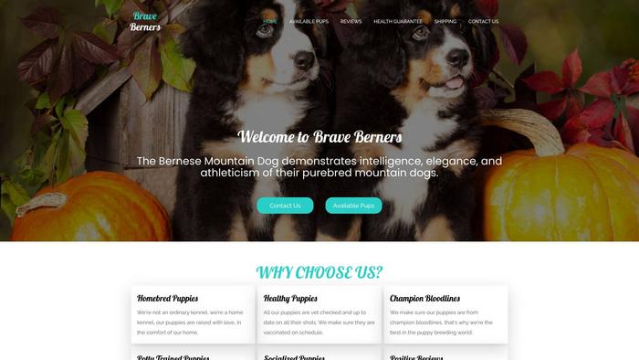 Braveberners.com - Bernese Mountain Dog Puppy Scam Review