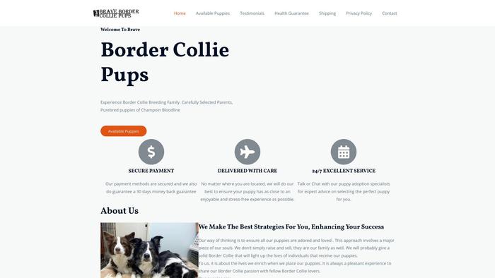 Bravebordercolliepups.com - Bordercollie Puppy Scam Review