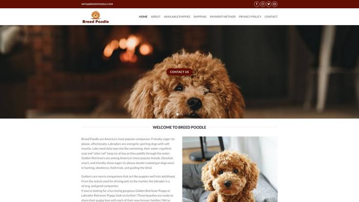 Breedpoodle.com - Golden Retriever Puppy Scam Review