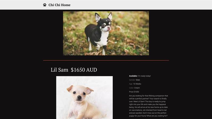 Buychihuahuaaustralia.com.ua - Chihuahua Puppy Scam Review