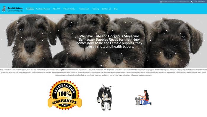 Buyminiatureschnauzerpuppies.com - Schnauzer Puppy Scam Review