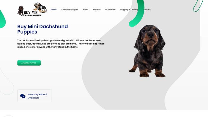 Buyminidachshundpuppies.com - Dachshund Puppy Scam Review