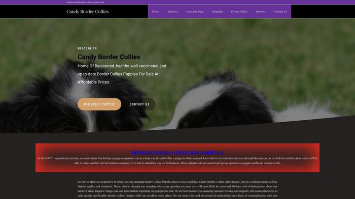 Candybordercollies.com - Bordercollie Puppy Scam Review