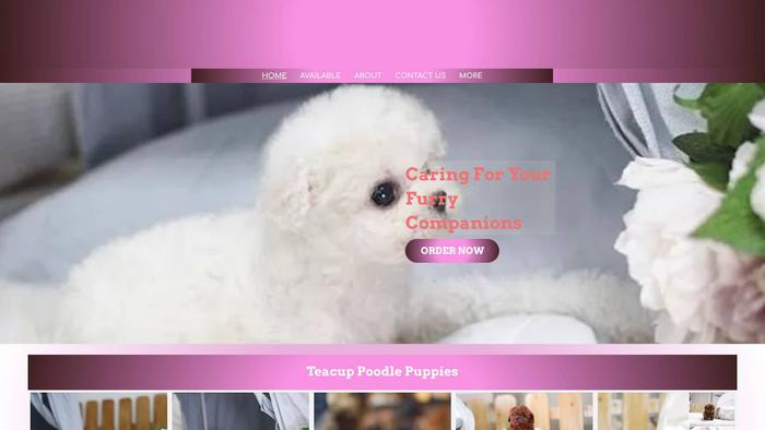 Caregardenteacuppoodles.com - Poodle Puppy Scam Review