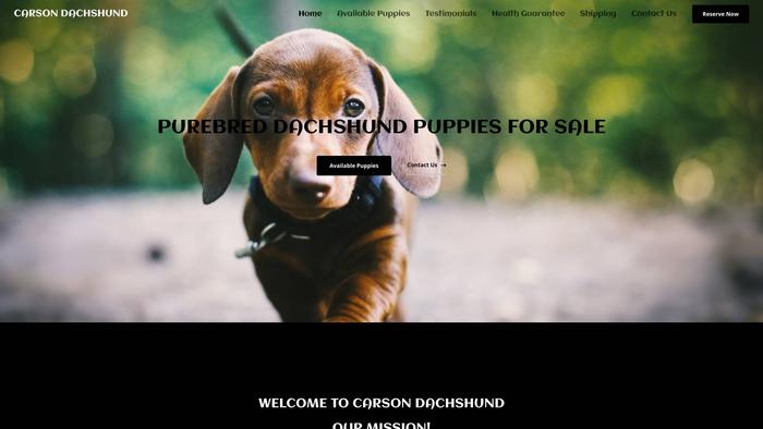 Carsondachshund.com - Dachshund Puppy Scam Review