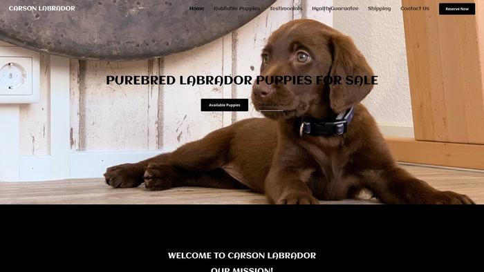 Carsonlabrador.com - Labrador Puppy Scam Review