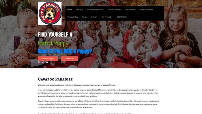 Cavapooparadise.com - Cavapoo Puppy Scam Review