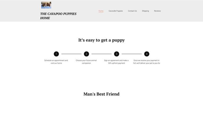 Cavapoopuppies.site - Cavapoo Puppy Scam Review