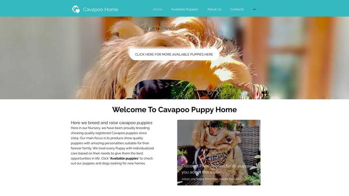 Cavapoospupshome.com - Cavapoo Puppy Scam Review