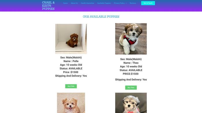 Charlankeithmaltesecrosspuppies.com - Maltese Puppy Scam Review