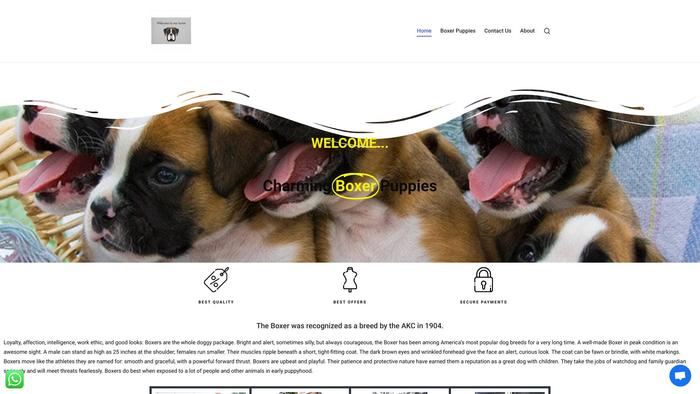 Charmingboxerpuppies.com - Boxer Puppy Scam Review