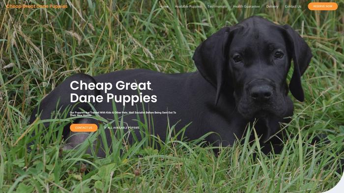 Cheapgreatdanepuppies.com - Great Dane Puppy Scam Review