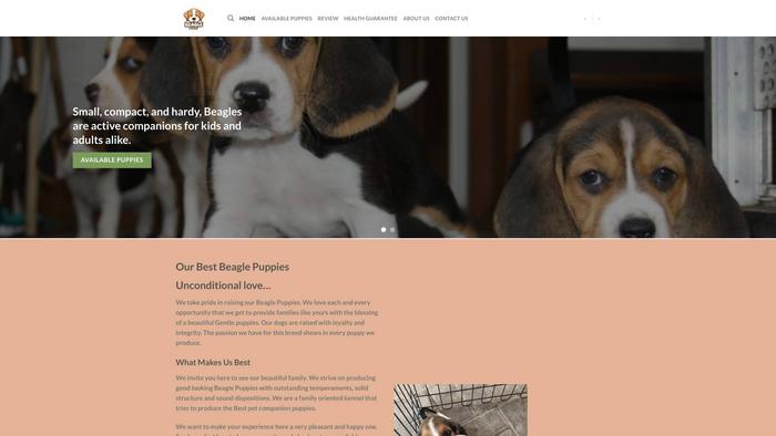 Cherylbeaglepuppies.com - Beagle Puppy Scam Review