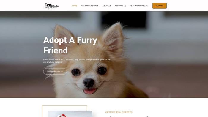 Chihuahuapuppieshome.com - Chihuahua Puppy Scam Review