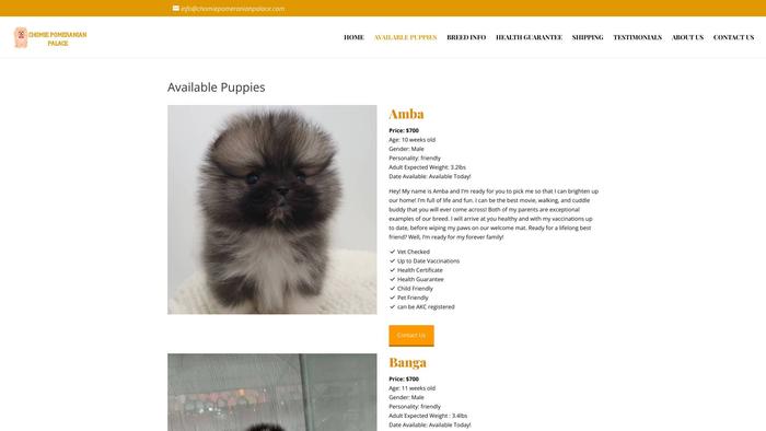 Chomiepomeranianpalace.com - Pomeranian Puppy Scam Review