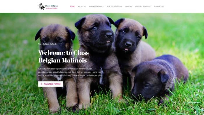 Classbelgianmalinois.com - Germanshepherd Puppy Scam Review