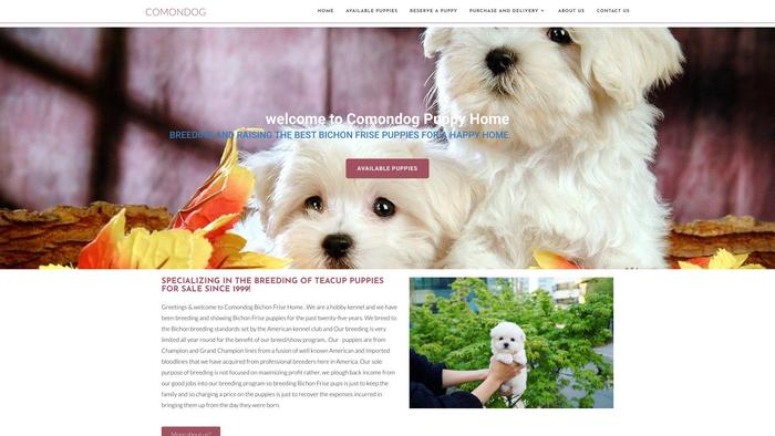 Comondog.com - Bichon Frise Puppy Scam Review