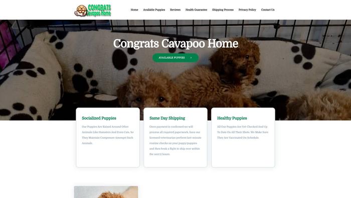 Congratscavapoohome.com - Cavapoo Puppy Scam Review