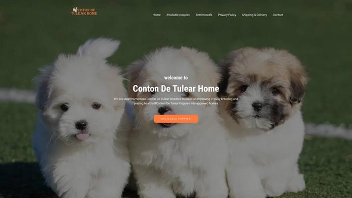 Cotondetulearpuppieshome.com - Coton De Tulear Puppy Scam Review