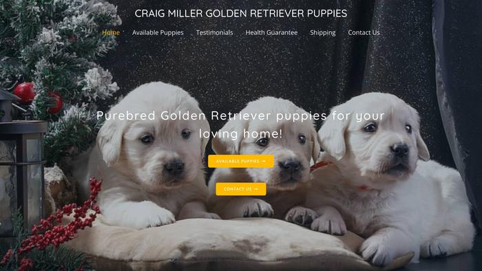 Craigmillergoldenretrieverpuppies.com - Golden Retriever Puppy Scam Review