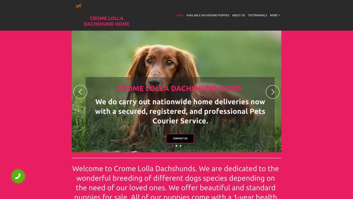 Cromelolladachshund.dog - Dachshund Puppy Scam Review