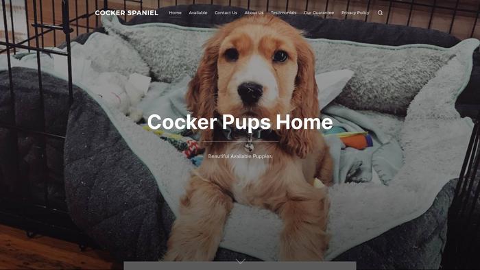 Cspanielpupshome.com - Cockerspaniel Puppy Scam Review