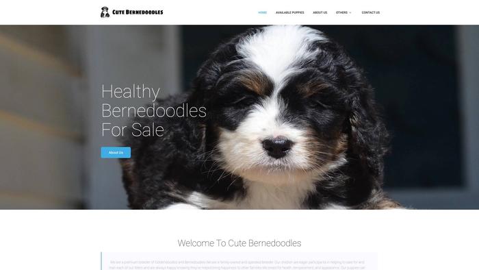 Cutebernedoodles.com - Bernedoodle Puppy Scam Review